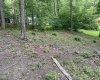 164 Lake Drive, Buckhannon, West Virginia 26201-4033, ,Lots/land,For Sale,Lake,10160234