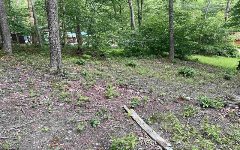 164 Lake Drive, Buckhannon, West Virginia 26201-4033, ,Lots/land,For Sale,Lake,10160234