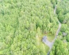 1012 Cannon Settlement Road, Parsons, West Virginia 26287, 2 Bedrooms Bedrooms, 7 Rooms Rooms,1 BathroomBathrooms,Single Family Detached,For Sale,Cannon Settlement,10160242