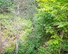 1012 Cannon Settlement Road, Parsons, West Virginia 26287, 2 Bedrooms Bedrooms, 7 Rooms Rooms,1 BathroomBathrooms,Single Family Detached,For Sale,Cannon Settlement,10160242