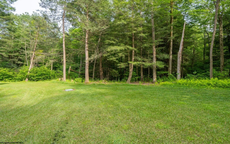 1012 Cannon Settlement Road, Parsons, West Virginia 26287, 2 Bedrooms Bedrooms, 7 Rooms Rooms,1 BathroomBathrooms,Single Family Detached,For Sale,Cannon Settlement,10160242