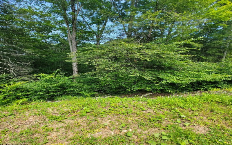 2314 Middle Mountain Road, Bowden, West Virginia 26254, 3 Bedrooms Bedrooms, 6 Rooms Rooms,2 BathroomsBathrooms,Single Family Detached,For Sale,Middle Mountain,10160240
