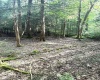 193 Deerwood Lane, Terra Alta, West Virginia 26764, 2 Bedrooms Bedrooms, 7 Rooms Rooms,1 BathroomBathrooms,Single Family Detached,For Sale,Deerwood,10160249
