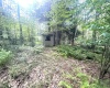 193 Deerwood Lane, Terra Alta, West Virginia 26764, 2 Bedrooms Bedrooms, 7 Rooms Rooms,1 BathroomBathrooms,Single Family Detached,For Sale,Deerwood,10160249