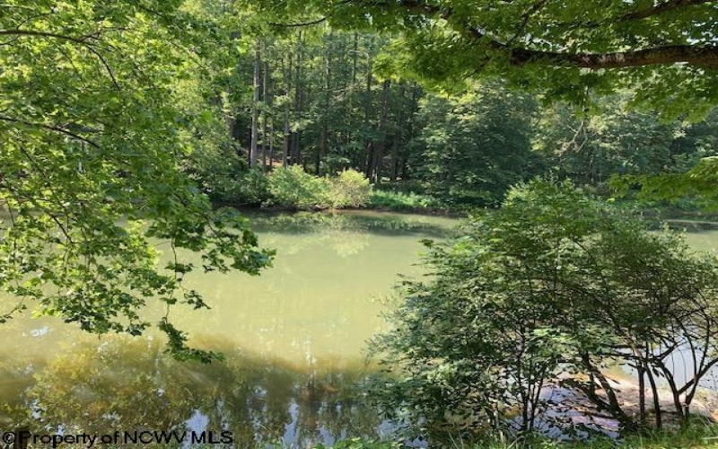 2007 Buckhannon River Road, Volga, West Virginia 26238, 2 Bedrooms Bedrooms, 6 Rooms Rooms,1 BathroomBathrooms,Single Family Detached,For Sale,Buckhannon River,10160253