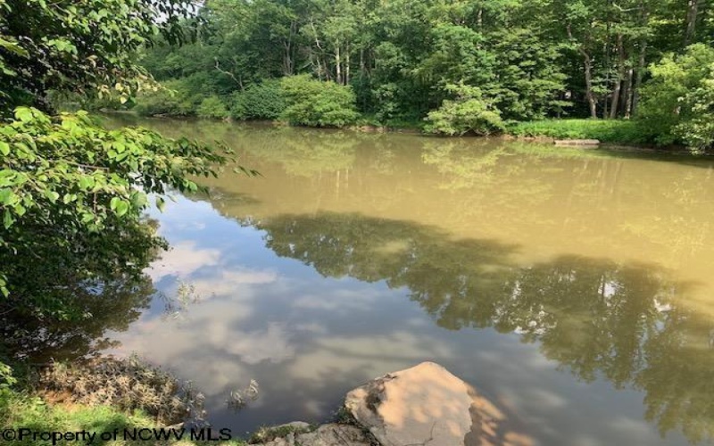 2007 Buckhannon River Road, Volga, West Virginia 26238, 2 Bedrooms Bedrooms, 6 Rooms Rooms,1 BathroomBathrooms,Single Family Detached,For Sale,Buckhannon River,10160253