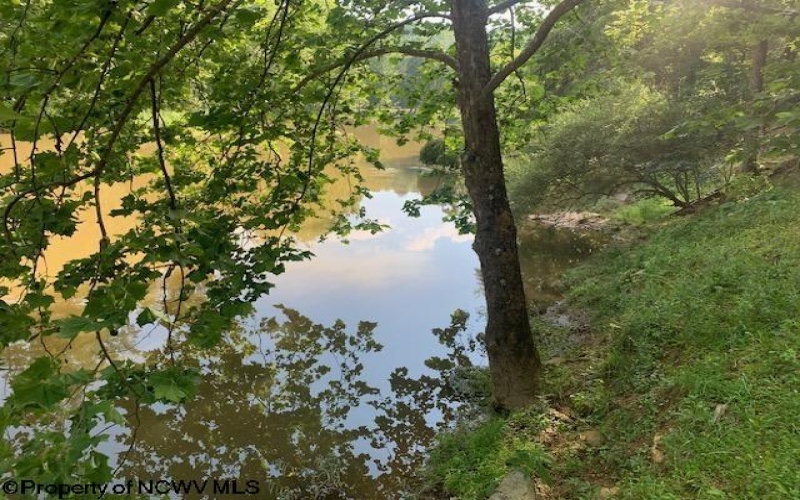 2007 Buckhannon River Road, Volga, West Virginia 26238, 2 Bedrooms Bedrooms, 6 Rooms Rooms,1 BathroomBathrooms,Single Family Detached,For Sale,Buckhannon River,10160253