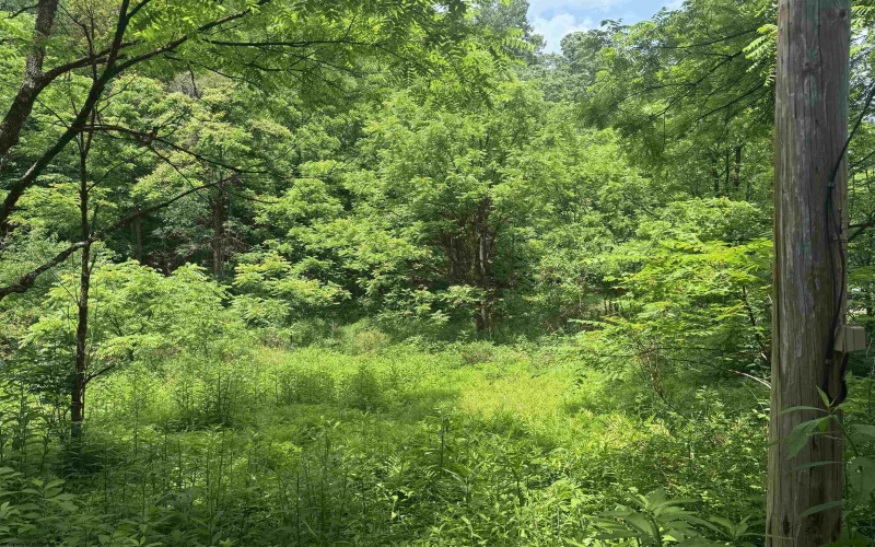 Lot 2 Jesse's Run Road, Fairview, West Virginia 26570, ,Lots/land,For Sale,Jesse's Run,10160279