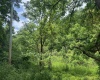 Lot 2 Jesse's Run Road, Fairview, West Virginia 26570, ,Lots/land,For Sale,Jesse's Run,10160279