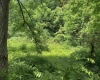 Lot 2 Jesse's Run Road, Fairview, West Virginia 26570, ,Lots/land,For Sale,Jesse's Run,10160279