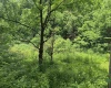Lot 2 Jesse's Run Road, Fairview, West Virginia 26570, ,Lots/land,For Sale,Jesse's Run,10160279