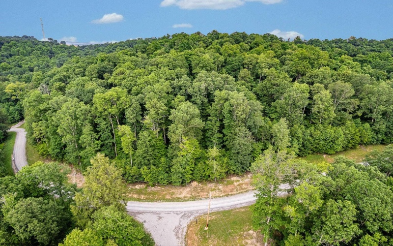 Lot 82 Whitewater Parkway, Bruceton Mills, West Virginia 26505, ,Lots/land,For Sale,Whitewater,10160271