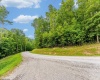 Lot 82 Whitewater Parkway, Bruceton Mills, West Virginia 26505, ,Lots/land,For Sale,Whitewater,10160271
