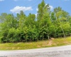 Lot 82 Whitewater Parkway, Bruceton Mills, West Virginia 26505, ,Lots/land,For Sale,Whitewater,10160271