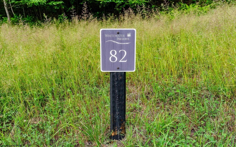 Lot 82 Whitewater Parkway, Bruceton Mills, West Virginia 26505, ,Lots/land,For Sale,Whitewater,10160271