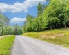Lot 82 Whitewater Parkway, Bruceton Mills, West Virginia 26505, ,Lots/land,For Sale,Whitewater,10160271