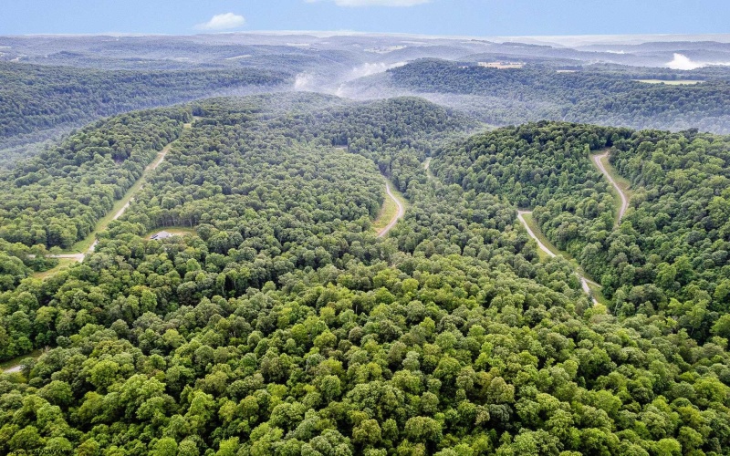 Lot 82 Whitewater Parkway, Bruceton Mills, West Virginia 26505, ,Lots/land,For Sale,Whitewater,10160271