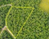 Lot 82 Whitewater Parkway, Bruceton Mills, West Virginia 26505, ,Lots/land,For Sale,Whitewater,10160271