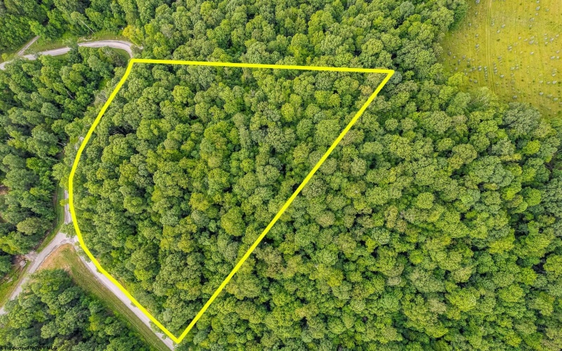 Lot 82 Whitewater Parkway, Bruceton Mills, West Virginia 26505, ,Lots/land,For Sale,Whitewater,10160271