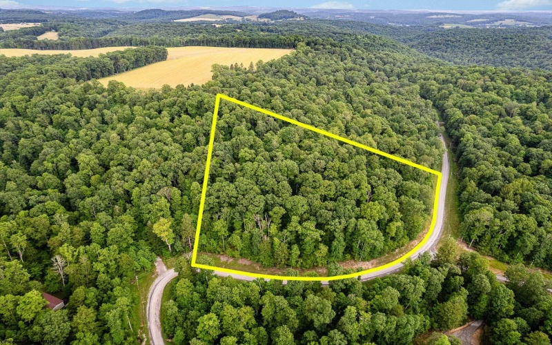 Lot 82 Whitewater Parkway, Bruceton Mills, West Virginia 26505, ,Lots/land,For Sale,Whitewater,10160271