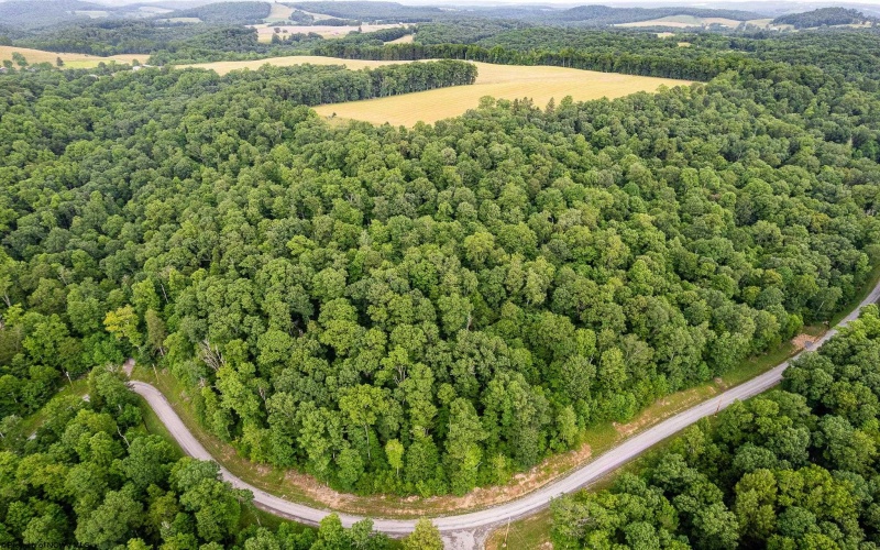 Lot 82 Whitewater Parkway, Bruceton Mills, West Virginia 26505, ,Lots/land,For Sale,Whitewater,10160271
