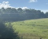 0 Mount Nebo Road, Buckhannon, West Virginia 26201, ,Lots/land,For Sale,Mount Nebo,10160267