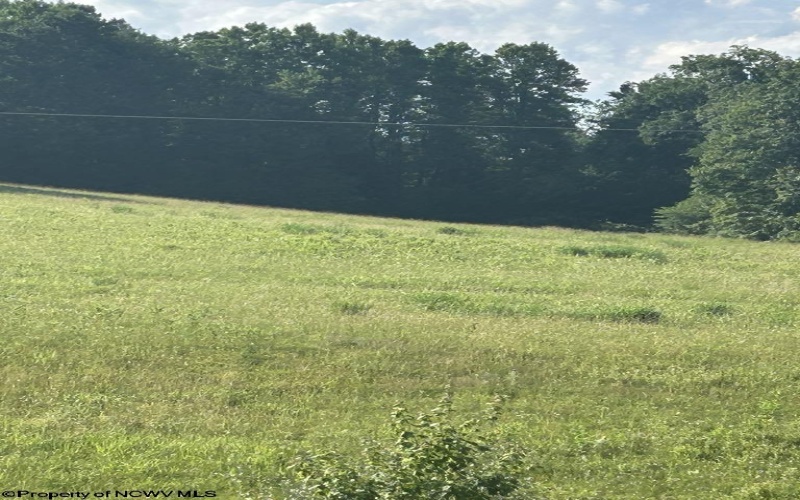 0 Mount Nebo Road, Buckhannon, West Virginia 26201, ,Lots/land,For Sale,Mount Nebo,10160267