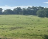 0 Mount Nebo Road, Buckhannon, West Virginia 26201, ,Lots/land,For Sale,Mount Nebo,10160267