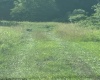 0 Mount Nebo Road, Buckhannon, West Virginia 26201, ,Lots/land,For Sale,Mount Nebo,10160267
