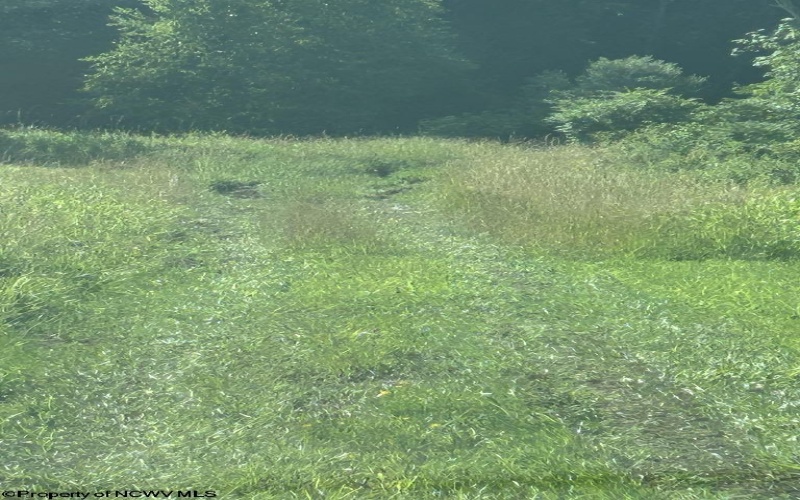 0 Mount Nebo Road, Buckhannon, West Virginia 26201, ,Lots/land,For Sale,Mount Nebo,10160267