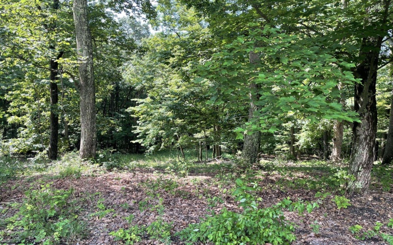 TBD Humphreys Road, Morgantown, West Virginia 26508, ,Lots/land,For Sale,Humphreys,10160277
