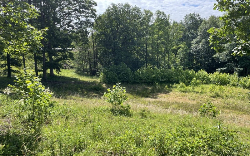 TBD Humphreys Road, Morgantown, West Virginia 26508, ,Lots/land,For Sale,Humphreys,10160277
