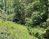 TBD Humphreys Road, Morgantown, West Virginia 26508, ,Lots/land,For Sale,Humphreys,10160277