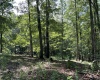 TBD Humphreys Road, Morgantown, West Virginia 26508, ,Lots/land,For Sale,Humphreys,10160277