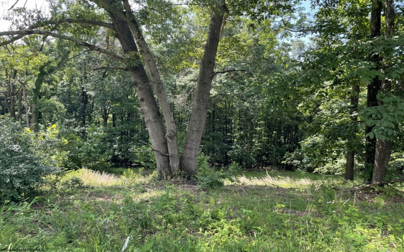 TBD Humphreys Road, Morgantown, West Virginia 26508, ,Lots/land,For Sale,Humphreys,10160277