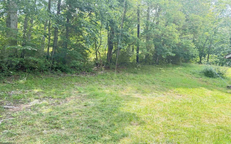 345 Middle Run Road, West Union, West Virginia 26456, 2 Bedrooms Bedrooms, 4 Rooms Rooms,1 BathroomBathrooms,Single Family Detached,For Sale,Middle Run,10160297