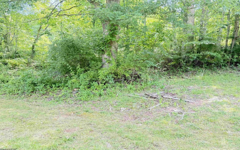 345 Middle Run Road, West Union, West Virginia 26456, 2 Bedrooms Bedrooms, 4 Rooms Rooms,1 BathroomBathrooms,Single Family Detached,For Sale,Middle Run,10160297