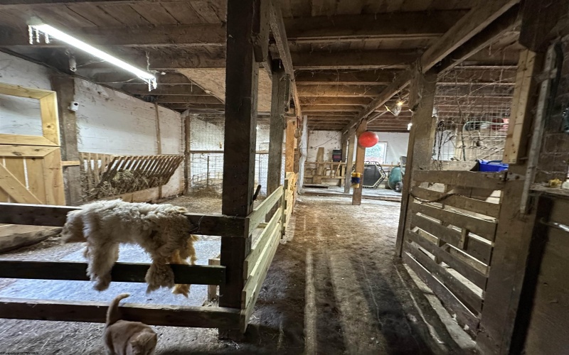 453 Saltlick Road, Mannington, West Virginia 26582-7171, 3 Bedrooms Bedrooms, 6 Rooms Rooms,1 BathroomBathrooms,Single Family Detached,For Sale,Saltlick,10160296