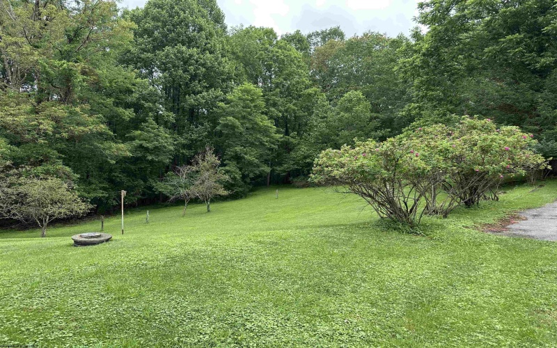 47 Cauldwell Drive, Buckhannon, West Virginia 26201, 3 Bedrooms Bedrooms, 6 Rooms Rooms,2 BathroomsBathrooms,Single Family Detached,For Sale,Cauldwell,10160321