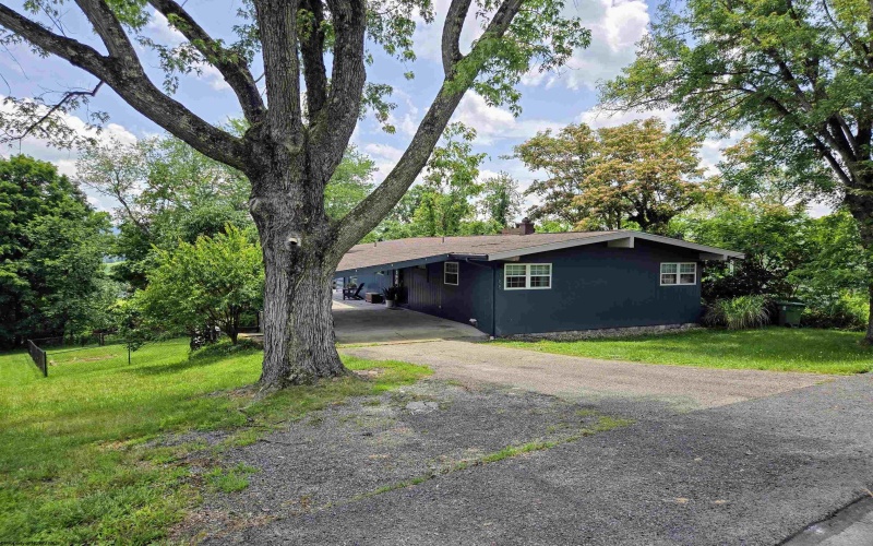788 Augusta Avenue, Morgantown, West Virginia 26501, 3 Bedrooms Bedrooms, 5 Rooms Rooms,2 BathroomsBathrooms,Single Family Detached,For Sale,Augusta,10160320