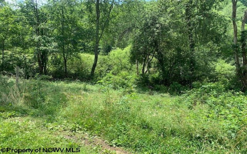 5999 Union Road, Philippi, West Virginia 26416, 3 Bedrooms Bedrooms, 6 Rooms Rooms,2 BathroomsBathrooms,Single Family Detached,For Sale,Union,10160326