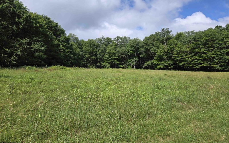 TBD Hazelwood Drive, Bruceton Mills, West Virginia 26525, ,Lots/land,For Sale,Hazelwood,10160342