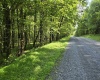 TBD Hazelwood Drive, Bruceton Mills, West Virginia 26525, ,Lots/land,For Sale,Hazelwood,10160342