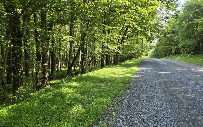 TBD Hazelwood Drive, Bruceton Mills, West Virginia 26525, ,Lots/land,For Sale,Hazelwood,10160342