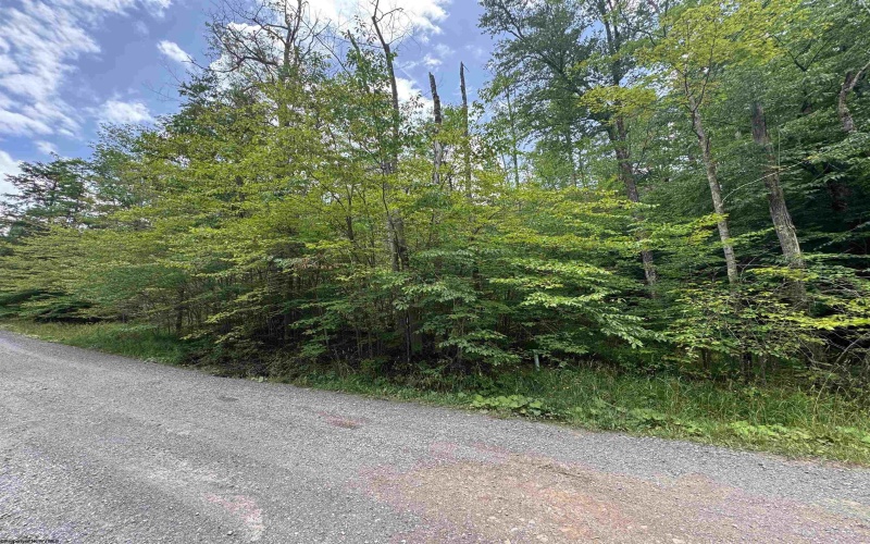 57 Brookside Road, Davis, West Virginia 26260-0000, ,Lots/land,For Sale,Brookside,10160334