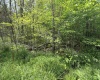 57 Brookside Road, Davis, West Virginia 26260-0000, ,Lots/land,For Sale,Brookside,10160334