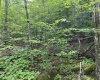 57 Brookside Road, Davis, West Virginia 26260-0000, ,Lots/land,For Sale,Brookside,10160334