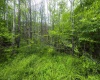 57 Brookside Road, Davis, West Virginia 26260-0000, ,Lots/land,For Sale,Brookside,10160334