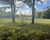 Lot 4 Winterset Drive, Davis, West Virginia 26260, ,Lots/land,For Sale,Winterset,10155934
