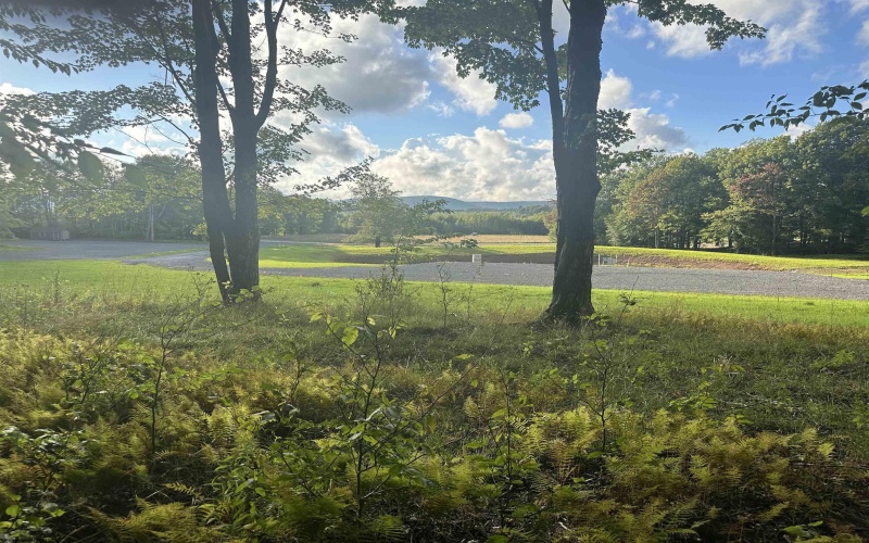 Lot 4 Winterset Drive, Davis, West Virginia 26260, ,Lots/land,For Sale,Winterset,10155934